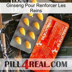 Ginseng For Reinforcing Kidney new01